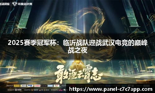 2025赛季冠军杯：临沂战队迎战武汉电竞的巅峰战之夜